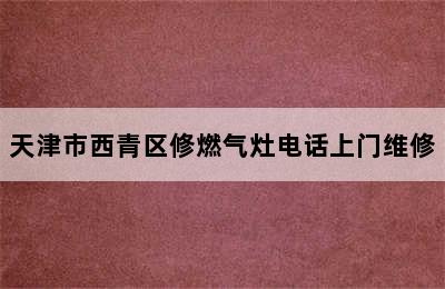 天津市西青区修燃气灶电话上门维修