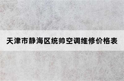 天津市静海区统帅空调维修价格表