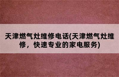 天津燃气灶维修电话(天津燃气灶维修，快速专业的家电服务)