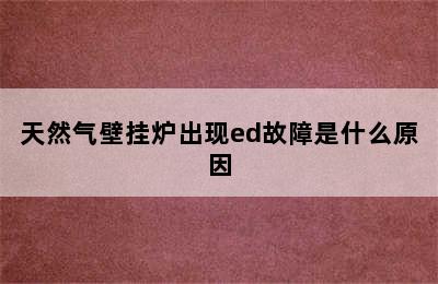 天然气壁挂炉出现ed故障是什么原因