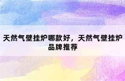 天然气壁挂炉哪款好，天然气壁挂炉品牌推荐