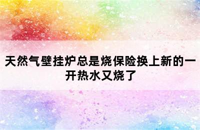 天然气壁挂炉总是烧保险换上新的一开热水又烧了