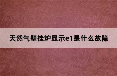 天然气壁挂炉显示e1是什么故障