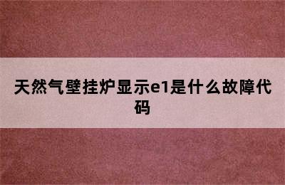 天然气壁挂炉显示e1是什么故障代码