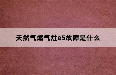 天然气燃气灶e5故障是什么