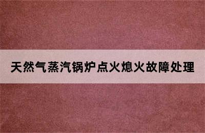 天然气蒸汽锅炉点火熄火故障处理