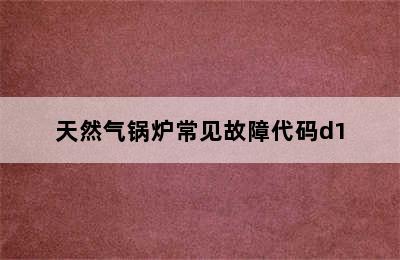 天然气锅炉常见故障代码d1