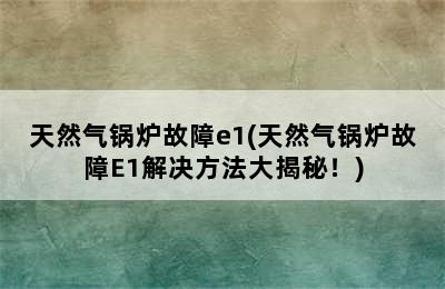 天然气锅炉故障e1(天然气锅炉故障E1解决方法大揭秘！)