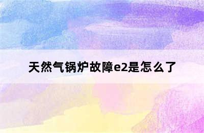 天然气锅炉故障e2是怎么了