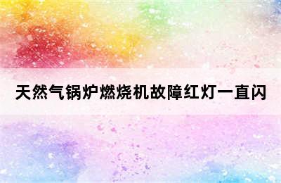 天然气锅炉燃烧机故障红灯一直闪