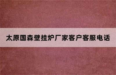 太原国森壁挂炉厂家客户客服电话