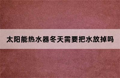 太阳能热水器冬天需要把水放掉吗