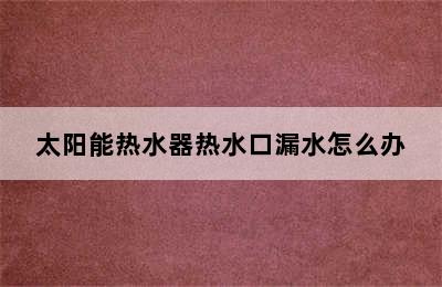 太阳能热水器热水口漏水怎么办