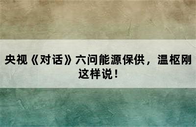 央视《对话》六问能源保供，温枢刚这样说！