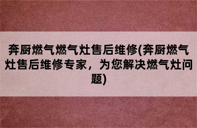 奔厨燃气燃气灶售后维修(奔厨燃气灶售后维修专家，为您解决燃气灶问题)