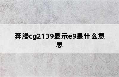 奔腾cg2139显示e9是什么意思