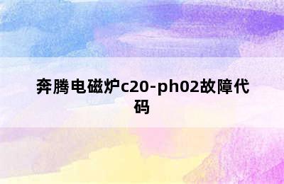 奔腾电磁炉c20-ph02故障代码