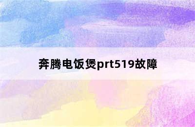 奔腾电饭煲prt519故障