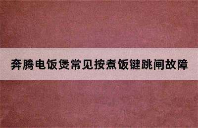 奔腾电饭煲常见按煮饭键跳闸故障