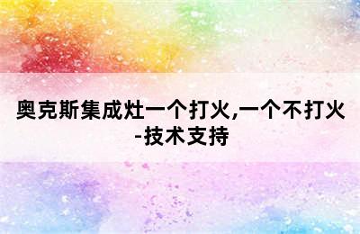 奥克斯集成灶一个打火,一个不打火-技术支持