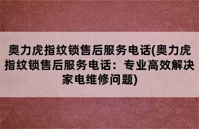 奥力虎指纹锁售后服务电话(奥力虎指纹锁售后服务电话：专业高效解决家电维修问题)