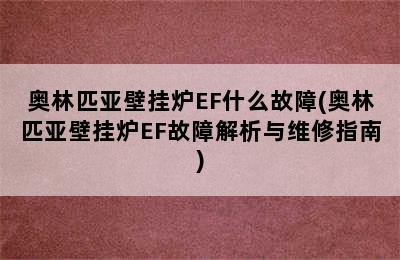 奥林匹亚壁挂炉EF什么故障(奥林匹亚壁挂炉EF故障解析与维修指南)