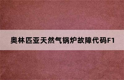 奥林匹亚天然气锅炉故障代码F1