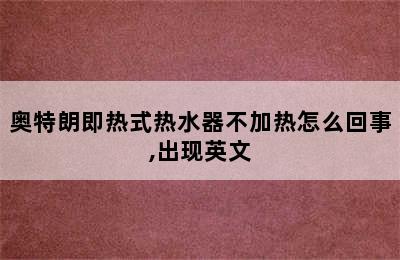 奥特朗即热式热水器不加热怎么回事,出现英文