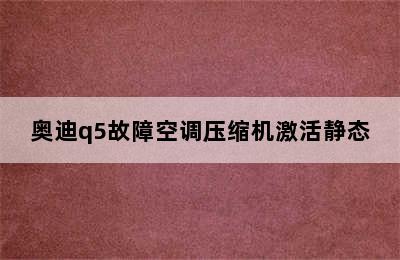 奥迪q5故障空调压缩机激活静态