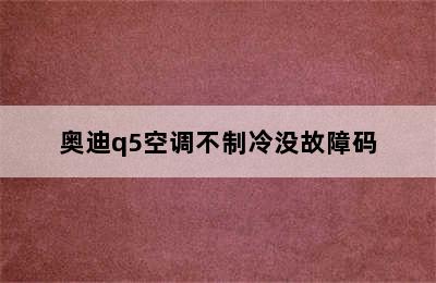 奥迪q5空调不制冷没故障码