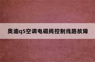 奥迪q5空调电磁阀控制线路故障