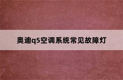 奥迪q5空调系统常见故障灯