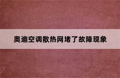 奥迪空调散热网堵了故障现象