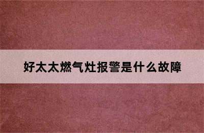 好太太燃气灶报警是什么故障