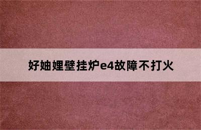 好妯娌壁挂炉e4故障不打火