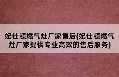 妃仕顿燃气灶厂家售后(妃仕顿燃气灶厂家提供专业高效的售后服务)