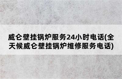 威仑壁挂锅炉服务24小时电话(全天候威仑壁挂锅炉维修服务电话)