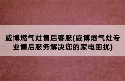 威博燃气灶售后客服(威博燃气灶专业售后服务解决您的家电困扰)