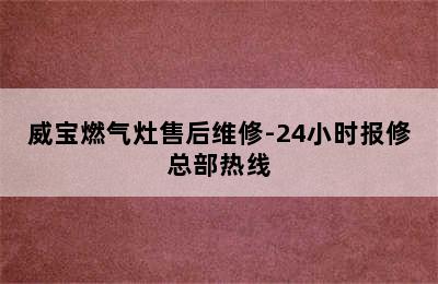 威宝燃气灶售后维修-24小时报修总部热线