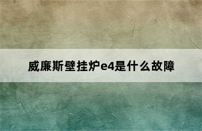 威廉斯壁挂炉e4是什么故障