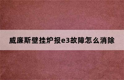 威廉斯壁挂炉报e3故障怎么消除