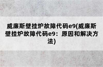 威廉斯壁挂炉故障代码e9(威廉斯壁挂炉故障代码e9：原因和解决方法)