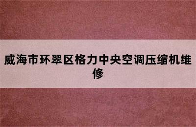 威海市环翠区格力中央空调压缩机维修