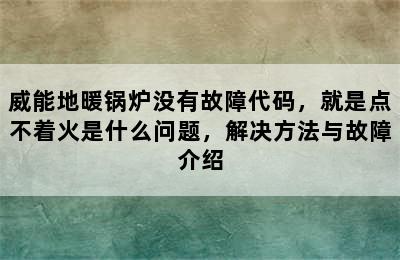 威能地暖锅炉没有故障代码，就是点不着火是什么问题，解决方法与故障介绍