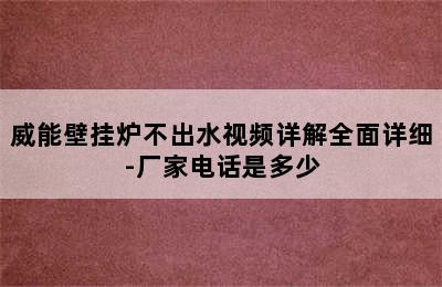 威能壁挂炉不出水视频详解全面详细-厂家电话是多少