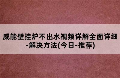 威能壁挂炉不出水视频详解全面详细-解决方法(今日-推荐)