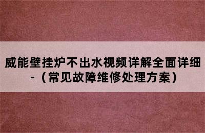 威能壁挂炉不出水视频详解全面详细-（常见故障维修处理方案）