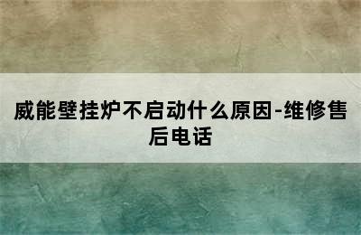 威能壁挂炉不启动什么原因-维修售后电话