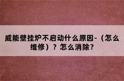 威能壁挂炉不启动什么原因-（怎么维修）？怎么消除？