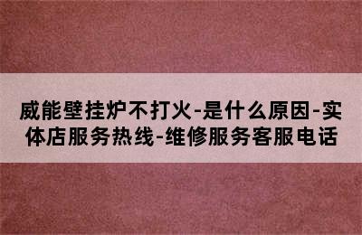 威能壁挂炉不打火-是什么原因-实体店服务热线-维修服务客服电话